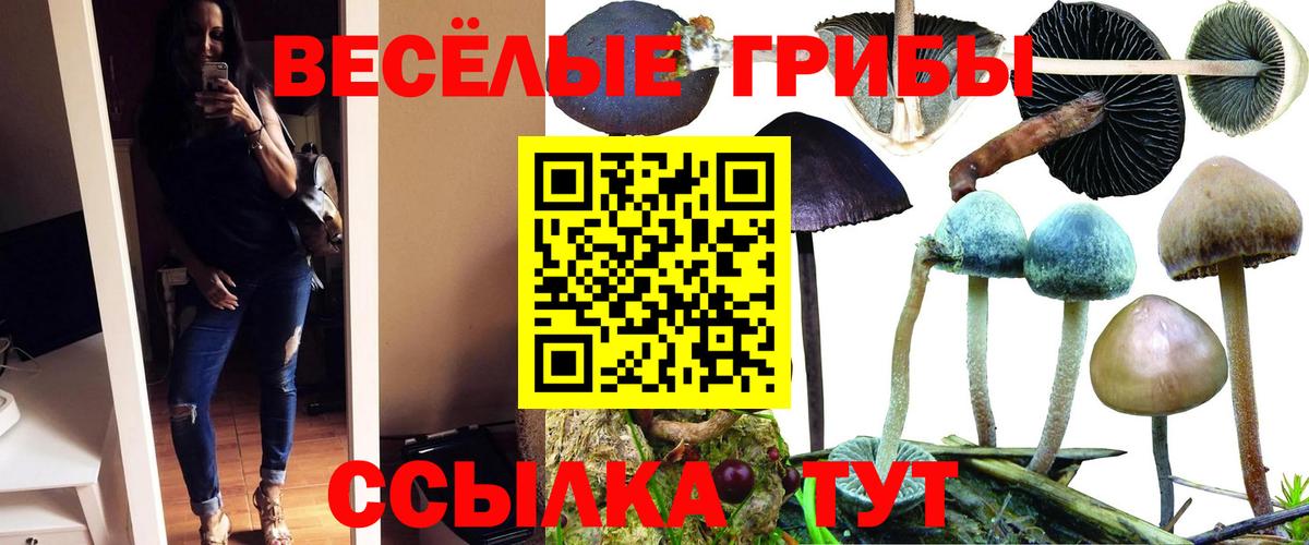 Галлюциногенные грибы мицелий  Псилоцибиновые грибы ЛСД  Тавда  Вход с VPN 